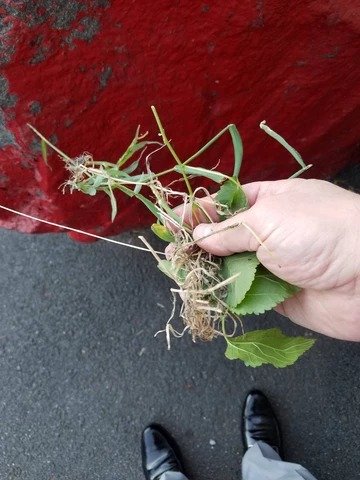 f147ef 29bba15db23d4518bd1e01d28