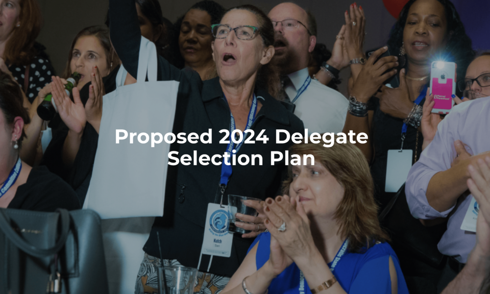 2024 Delegate Selection Plan