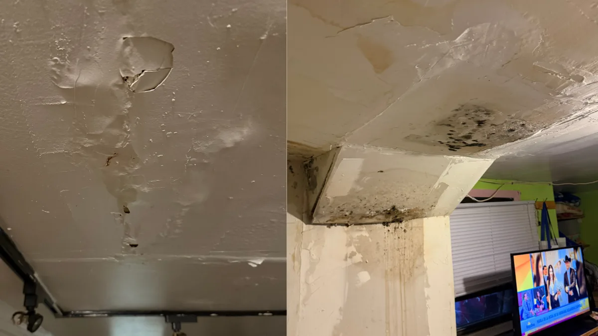 Photos Reveal Conditions at Union City Building in Legal Fight