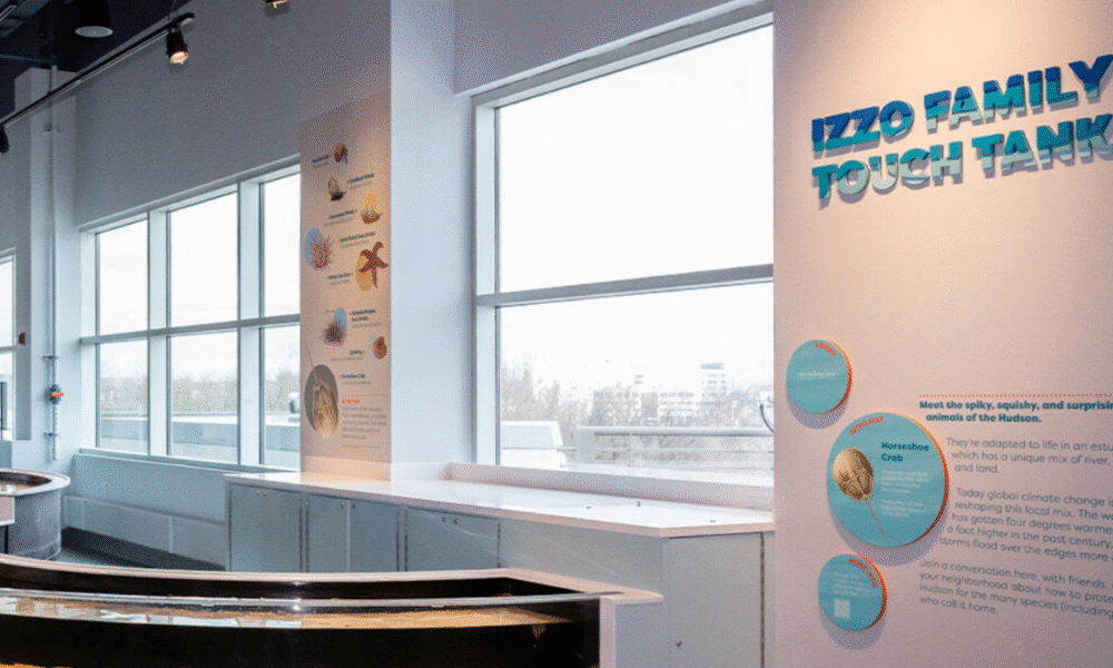 Liberty Science Center Unveils New Touch Tank and Climate VR Experience