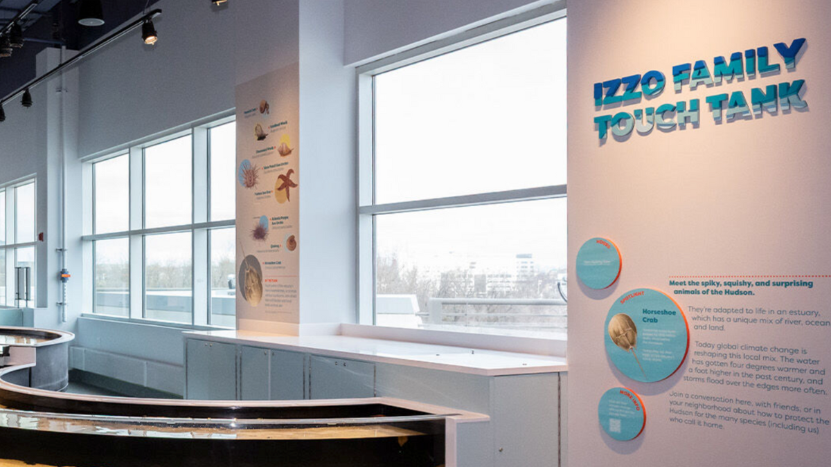 Liberty Science Center Unveils New Touch Tank and Climate VR Experience