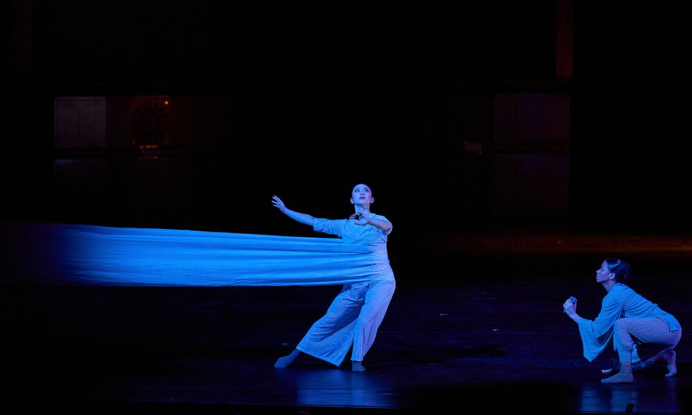 Nimbus Dance in Dark Water – credit Rob Davidson 1 20 (1)