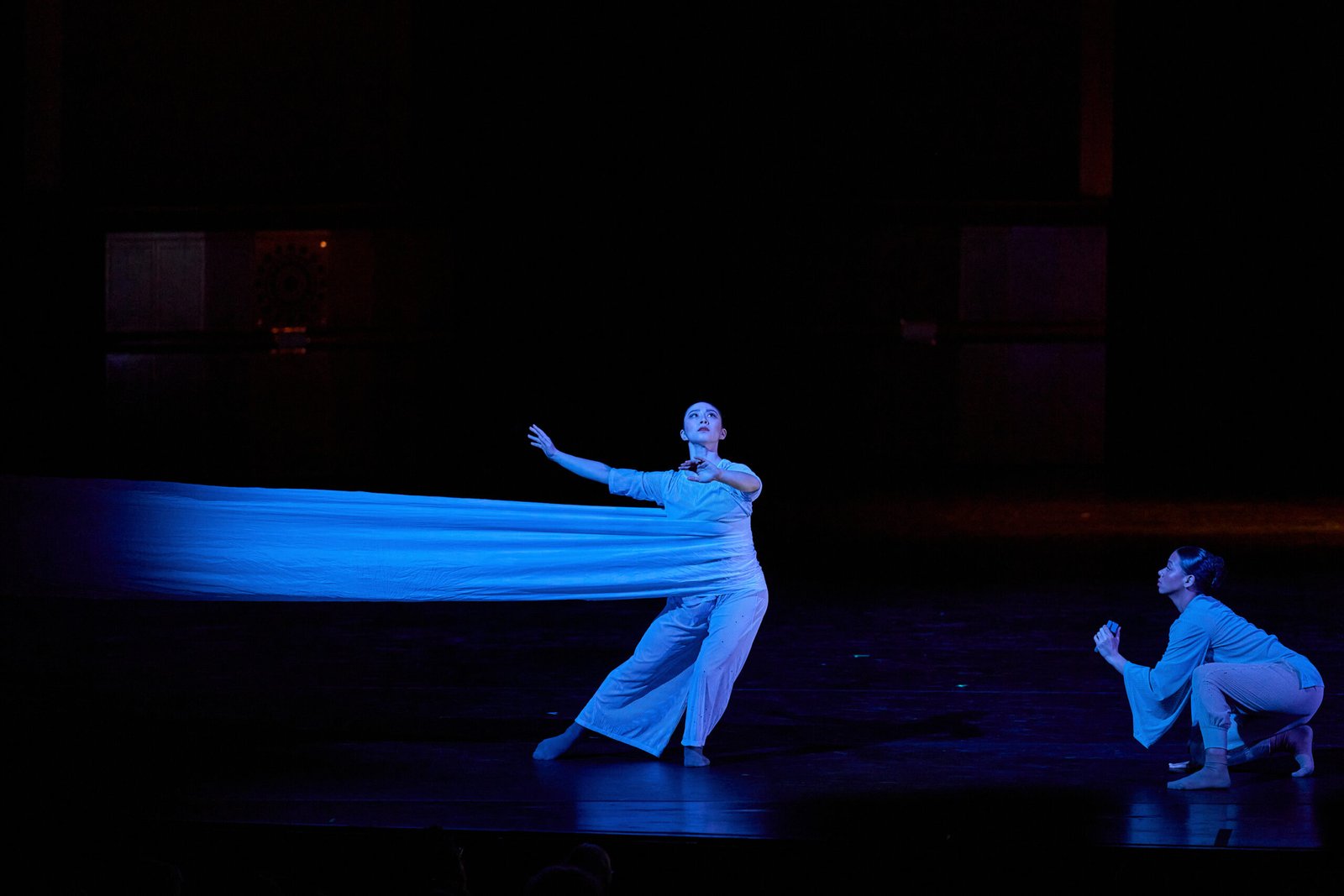 Nimbus Dance in Dark Water – credit Rob Davidson 1 20 (1)