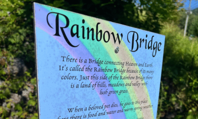 Rainbow Bridge Memorial for Pets Coming to Elysian Park in Hoboken