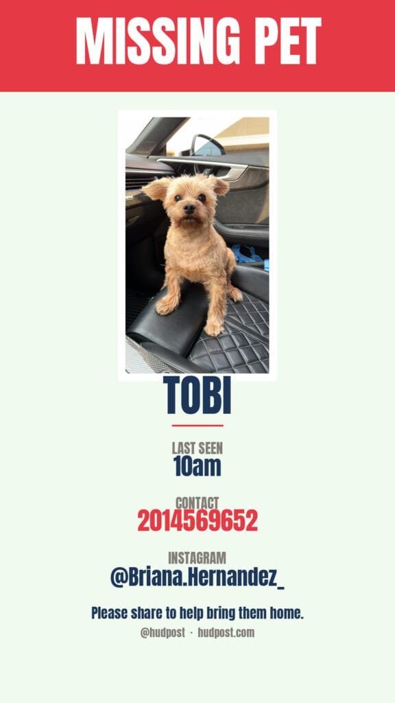 Tobi has been found